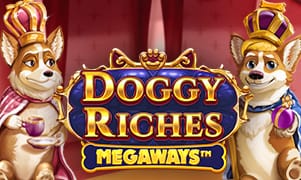 c54 Doggy Riches Megaways™